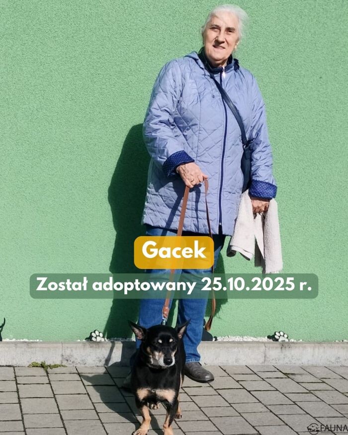 Kolejne czworonogi z "Fauny" znalazły nowe domy!/fot. TOZ Fauna
