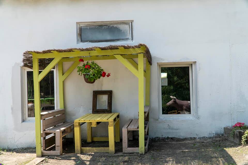 Ogromny zielony teren, mini zoo, ekologiczny plac zabaw i tablice sensoryczne - tak wygląda nowa siedziba Akademii Kreowania Uzdolnień Każdego Urwisa w Rudzie Śląskiej. 

fot. FB AKUKU