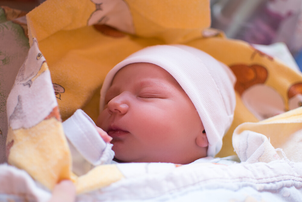 Aleksander Bujałkowski