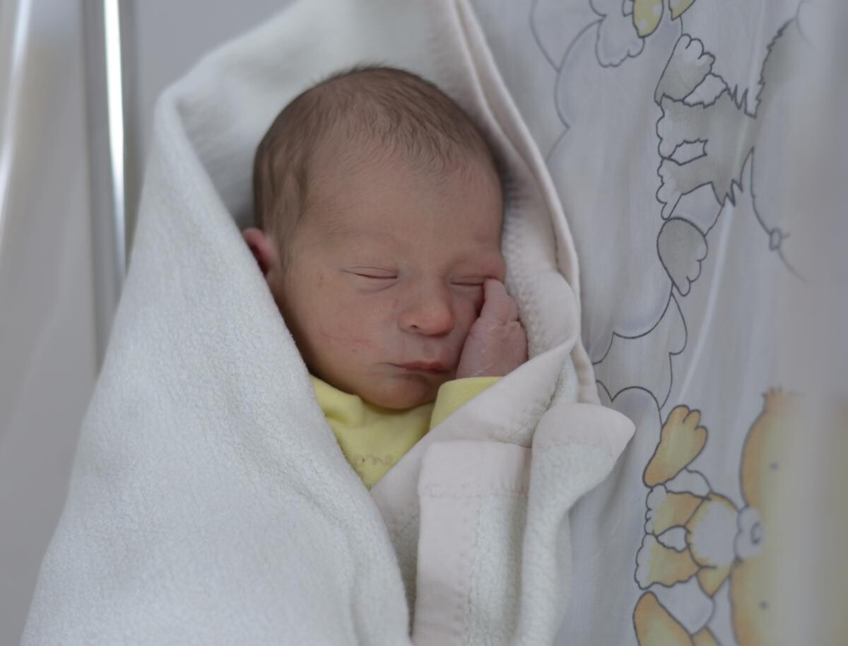 Aleksander Czernecki