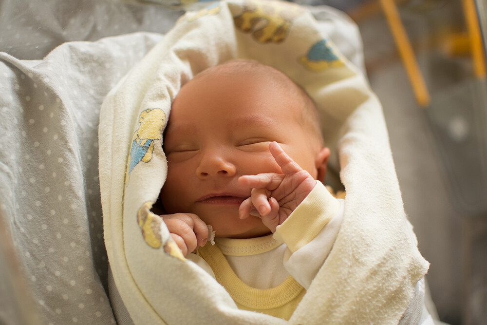 Aleksander Miśkiewicz