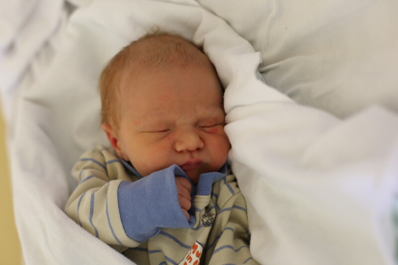 Aleksander Wójcicki