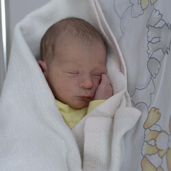 Aleksander Czernecki