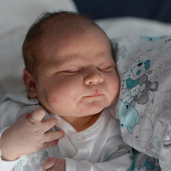 Aleksander Kozłowski