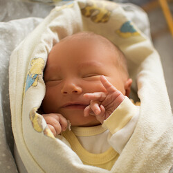 Aleksander Miśkiewicz