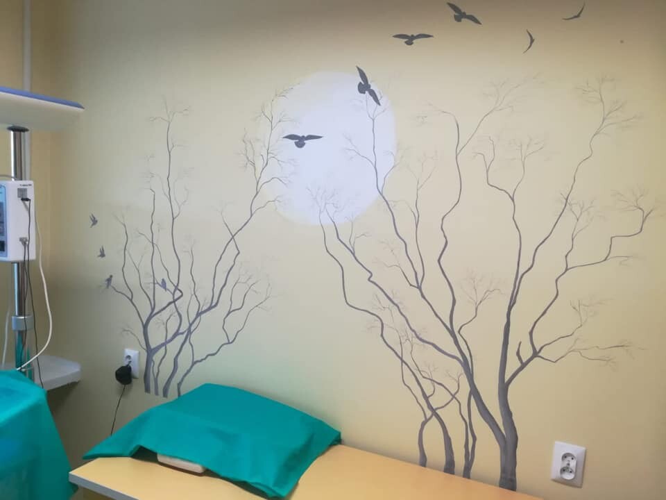 Wolontariusze rudzkiej Fundacji "Anioły w piżamkach" swoimi bajkowymi pracami dekorują w Poradni Neonatologicznej w Szpitalu Miejskim w Rudzie Śląskiej. Wcześniej w ten sam sposób ozdobili bielszowicki Oddział Pediatrii oraz sale chorych Oddziału Neonatologicznego w rudzkim szpitalu.