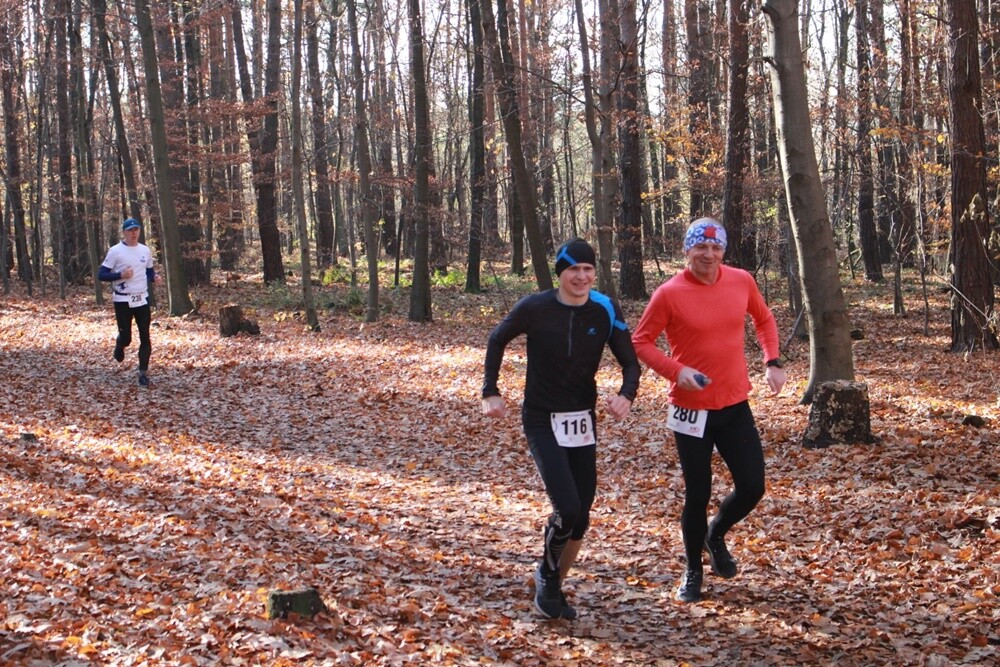 Za nami ostatni w tym roku "Bieg Wiewiórki". Najwytrwalsi i systematyczni zawodnicy otrzymali także pamiątkowe statuetki za udział w tegorocznym cyklu.