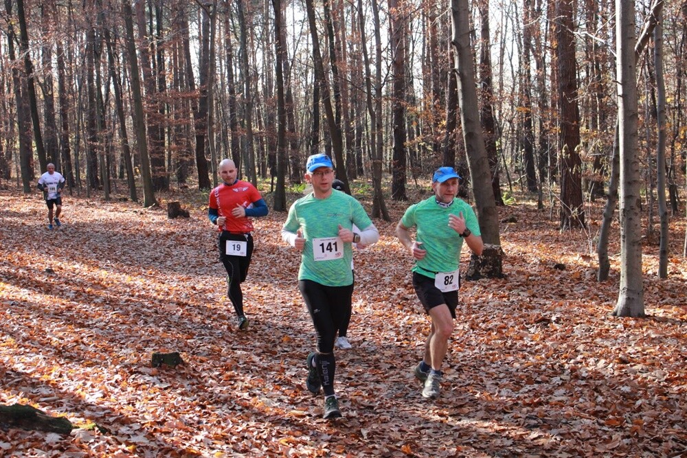 Za nami ostatni w tym roku "Bieg Wiewiórki". Najwytrwalsi i systematyczni zawodnicy otrzymali także pamiątkowe statuetki za udział w tegorocznym cyklu.