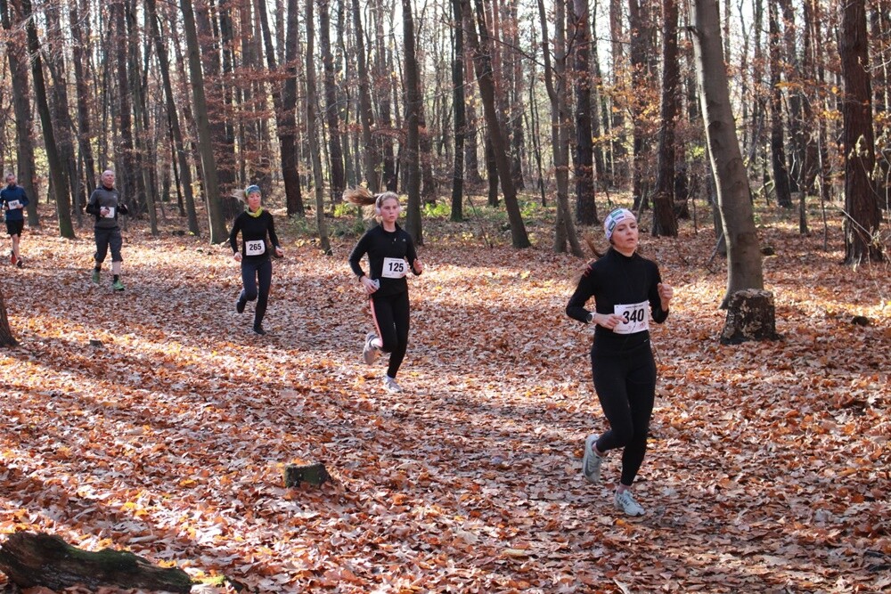 Za nami ostatni w tym roku "Bieg Wiewiórki". Najwytrwalsi i systematyczni zawodnicy otrzymali także pamiątkowe statuetki za udział w tegorocznym cyklu.