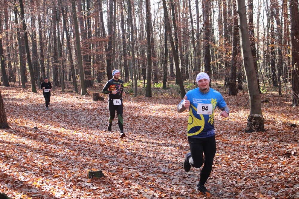 Za nami ostatni w tym roku "Bieg Wiewiórki". Najwytrwalsi i systematyczni zawodnicy otrzymali także pamiątkowe statuetki za udział w tegorocznym cyklu.