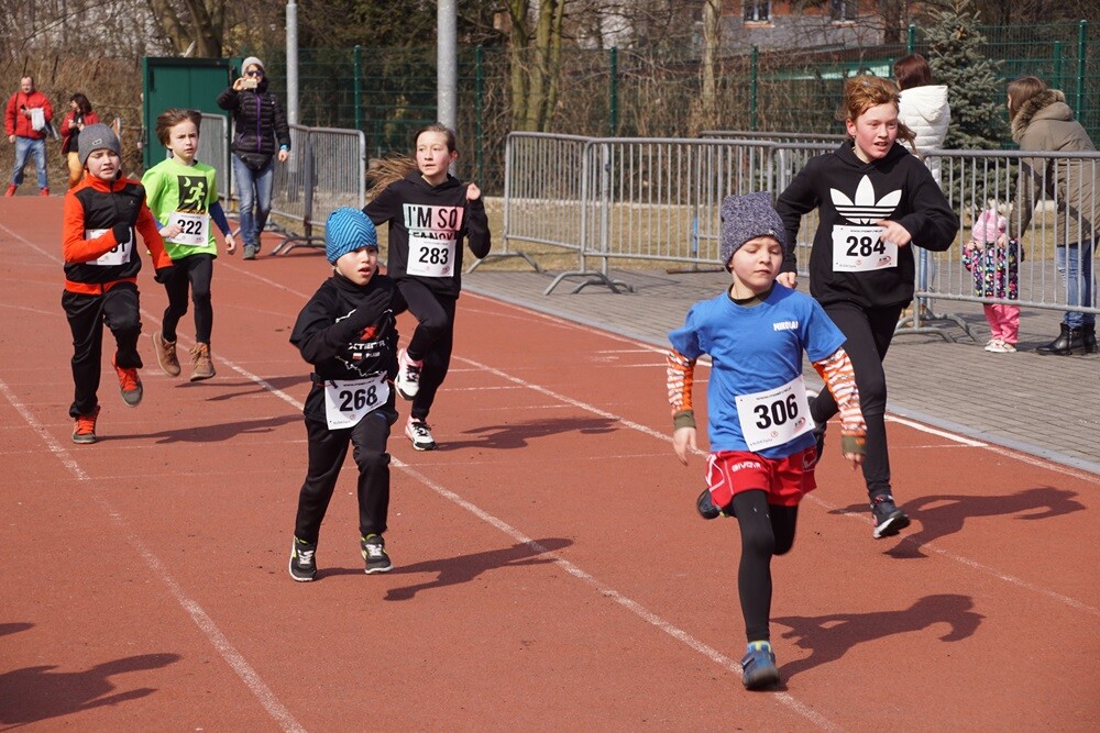 Przy Szkole Podstawowej nr 15 w Halembie odbyła się pierwsza w tym roku odsłona Biegu Wiewiórki. Początek biegu oraz rywalizacji nordic walking tradycyjnie rozpoczął się o godz. 11:15, wcześniej o godz. 11:00 wystartował bieg dla dzieci.