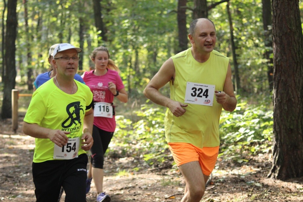Przy Szkole Podstawowej nr 15 w Halembie odbyła się ósma w tym roku odsłona Biegu Wiewiórki. Początek biegu oraz rywalizacji nordic walking tradycyjnie rozpoczął się o godz. 11:15, wcześniej o godz. 11:00 wystartował bieg dla dzieci.