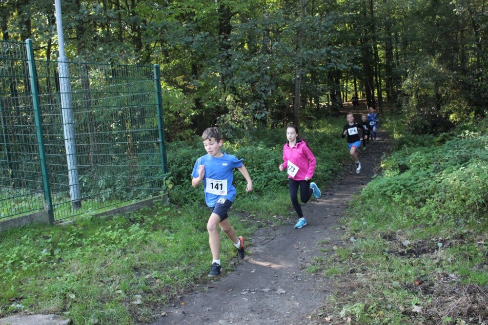 Przy Szkole Podstawowej nr 15 w Halembie odbyła się ósma w tym roku odsłona Biegu Wiewiórki. Początek biegu oraz rywalizacji nordic walking tradycyjnie rozpoczął się o godz. 11:15, wcześniej o godz. 11:00 wystartował bieg dla dzieci.