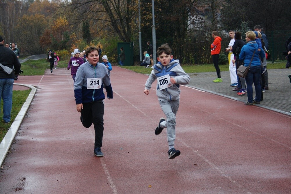 Za nami ostatni w tym roku "Bieg Wiewiórki'. Zapaleni biegacze i miłośnicy nordic walking udowodnili dzisiaj, że pochmurna pogoda im nie straszna. Uczestnicy otrzymali także pamiątkowe statuetki za udział w tegorocznym cyklu.