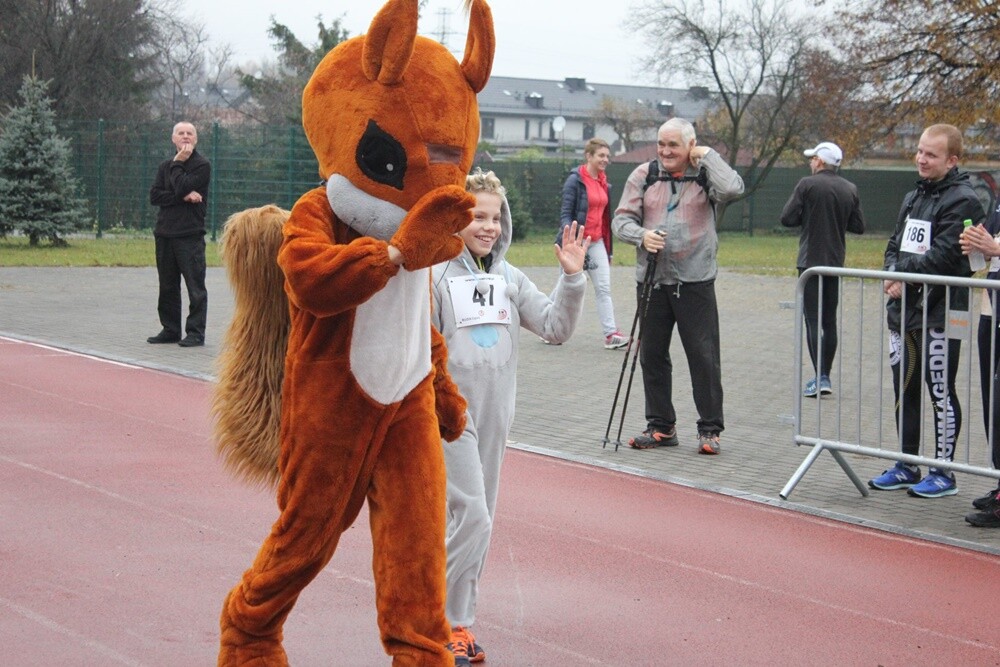 Za nami ostatni w tym roku "Bieg Wiewiórki'. Zapaleni biegacze i miłośnicy nordic walking udowodnili dzisiaj, że pochmurna pogoda im nie straszna. Uczestnicy otrzymali także pamiątkowe statuetki za udział w tegorocznym cyklu.