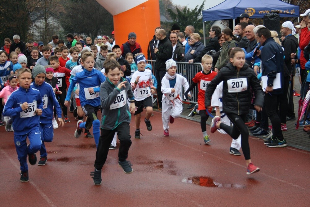 Za nami ostatni w tym roku "Bieg Wiewiórki'. Zapaleni biegacze i miłośnicy nordic walking udowodnili dzisiaj, że pochmurna pogoda im nie straszna. Uczestnicy otrzymali także pamiątkowe statuetki za udział w tegorocznym cyklu.