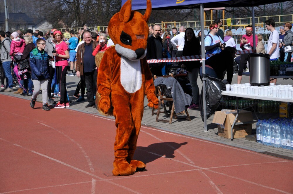 Miłośnicy biegania i zdrowego stylu życia ponownie spotkali się na bieżni Szkoły Podstawowej Sportowej nr 15 w Rudzie Śląskiej. Dzisiaj (23 marca) o godzinie 11.00 odbył się pierwszy w tym roku Bieg Wiewiórki, który rozpoczął czwarty sezon tej popularnej biegowej imprezy.