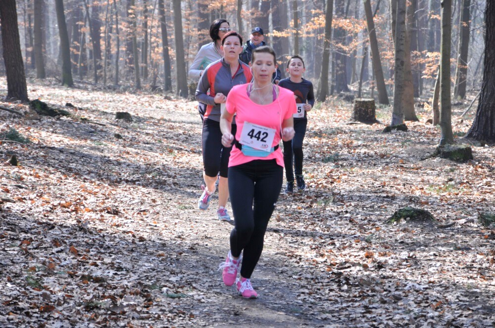 Miłośnicy biegania i zdrowego stylu życia ponownie spotkali się na bieżni Szkoły Podstawowej Sportowej nr 15 w Rudzie Śląskiej. Dzisiaj (23 marca) o godzinie 11.00 odbył się pierwszy w tym roku Bieg Wiewiórki, który rozpoczął czwarty sezon tej popularnej biegowej imprezy.