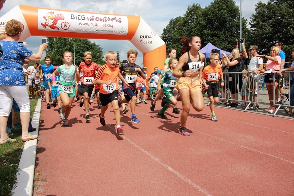 Ponad 300 osób wzięło udział w sobotnim Biegu Wiewiórki. Jak zwykle rozpoczęły dzieci, które miały do pokonania 1 km. Na starszych czekała pętla o długości 4,2 km, którą biegacze mogli pokonać maksymalnie pięć razy, a zawodnicy w konkurencji nordic walking trzy razy.