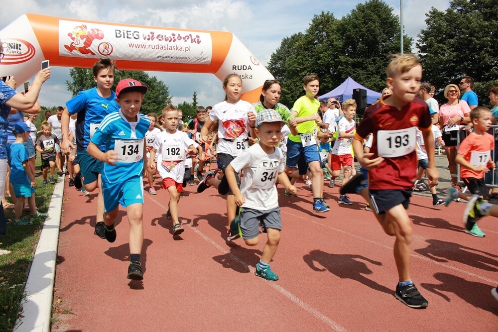 Ponad 300 osób wzięło udział w sobotnim Biegu Wiewiórki. Jak zwykle rozpoczęły dzieci, które miały do pokonania 1 km. Na starszych czekała pętla o długości 4,2 km, którą biegacze mogli pokonać maksymalnie pięć razy, a zawodnicy w konkurencji nordic walking trzy razy.