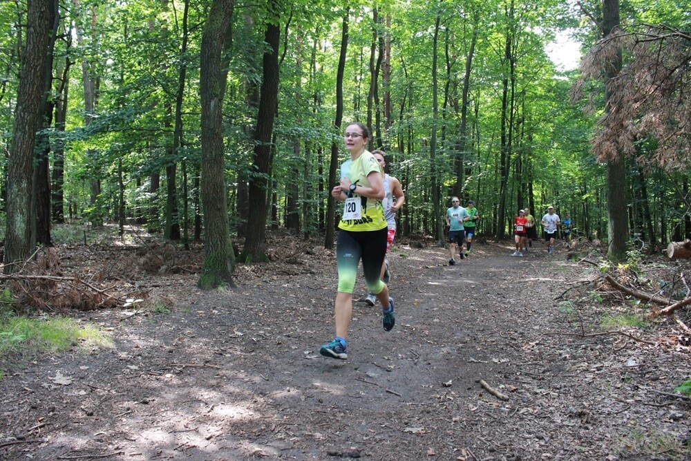 IV edycja Biegu Wiewiórki zbliża się do końca. Wrześniowe zawody już za nami, na starcie stanęło dziś wielu młodszych i starszych zawodników. Okazja do rywalizacji będzie jeszcze 12 października i 9 listopada.