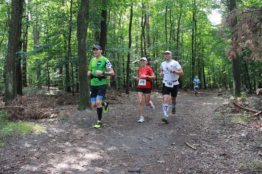 IV edycja Biegu Wiewiórki zbliża się do końca. Wrześniowe zawody już za nami, na starcie stanęło dziś wielu młodszych i starszych zawodników. Okazja do rywalizacji będzie jeszcze 12 października i 9 listopada.