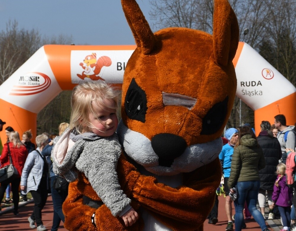 Dzisiaj w Rudzie Śląskiej ruszył siódmy cykl "Biegu Wiewiórki". Tradycyjnie bieg organizowany jest na bieżni Szkoły Podstawowej Sportowej nr 15 oraz w halembskim lesie.

fot. Jacek Knapik