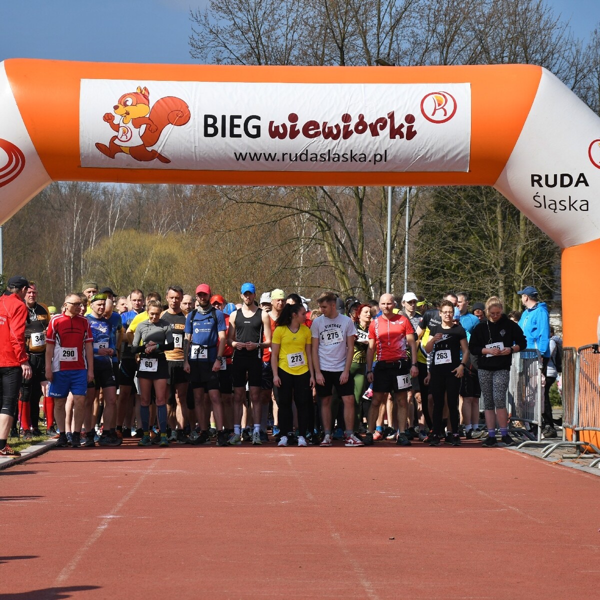 Dzisiaj w Rudzie Śląskiej ruszył siódmy cykl "Biegu Wiewiórki". Tradycyjnie bieg organizowany jest na bieżni Szkoły Podstawowej Sportowej nr 15 oraz w halembskim lesie.

fot. Jacek Knapik