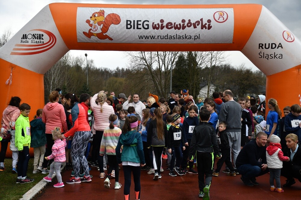 Miłośnicy aktywnego stylu życia znów pobiegli z rudzką wiewiórką. W sobotę na bieżni Szkoły Podstawowej Sportowej nr 15 oraz w halembskim lesie rozpoczął się kolejny cykl "Biegu Wiewiórki". 

fot. Jacek Knapik