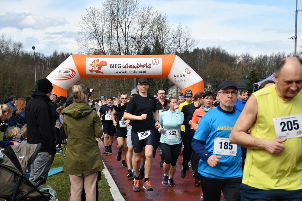 Miłośnicy aktywnego stylu życia znów pobiegli z rudzką wiewiórką. W sobotę na bieżni Szkoły Podstawowej Sportowej nr 15 oraz w halembskim lesie rozpoczął się kolejny cykl "Biegu Wiewiórki". 

fot. Jacek Knapik