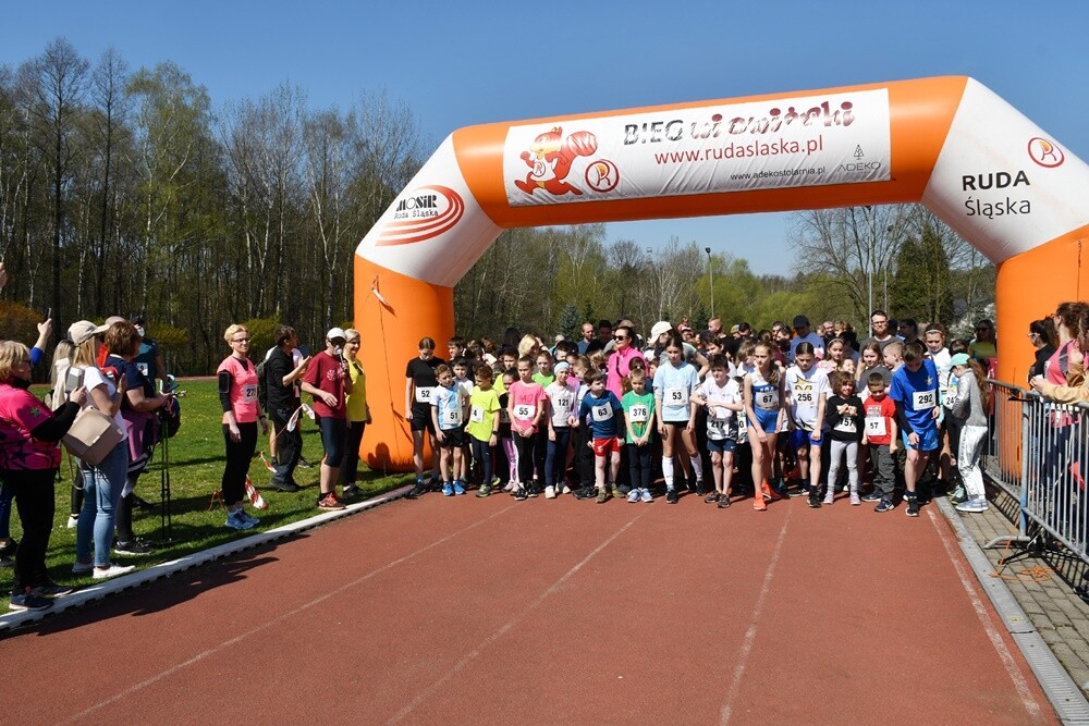 Zapaleni biegacze i miłośnicy nordic walking w  promieniach kwietniowego słońca znowu pobiegli z wiewiórką! W halembskim lesie odbył się drugi w tym roku "Bieg Wiewiórki", podczas którego swoje siły sprawdzili starsi i młodsi sportowcy. Nie zabrakło również dzieci.

fot. Jacek Knapik