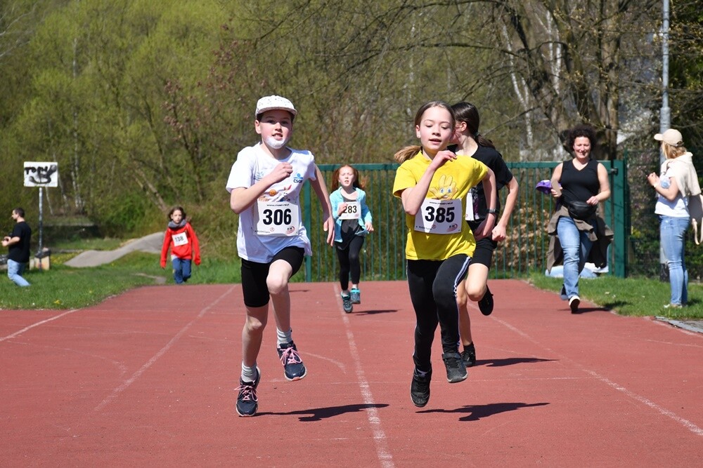 Zapaleni biegacze i miłośnicy nordic walking w  promieniach kwietniowego słońca znowu pobiegli z wiewiórką! W halembskim lesie odbył się drugi w tym roku "Bieg Wiewiórki", podczas którego swoje siły sprawdzili starsi i młodsi sportowcy. Nie zabrakło również dzieci.

fot. Jacek Knapik