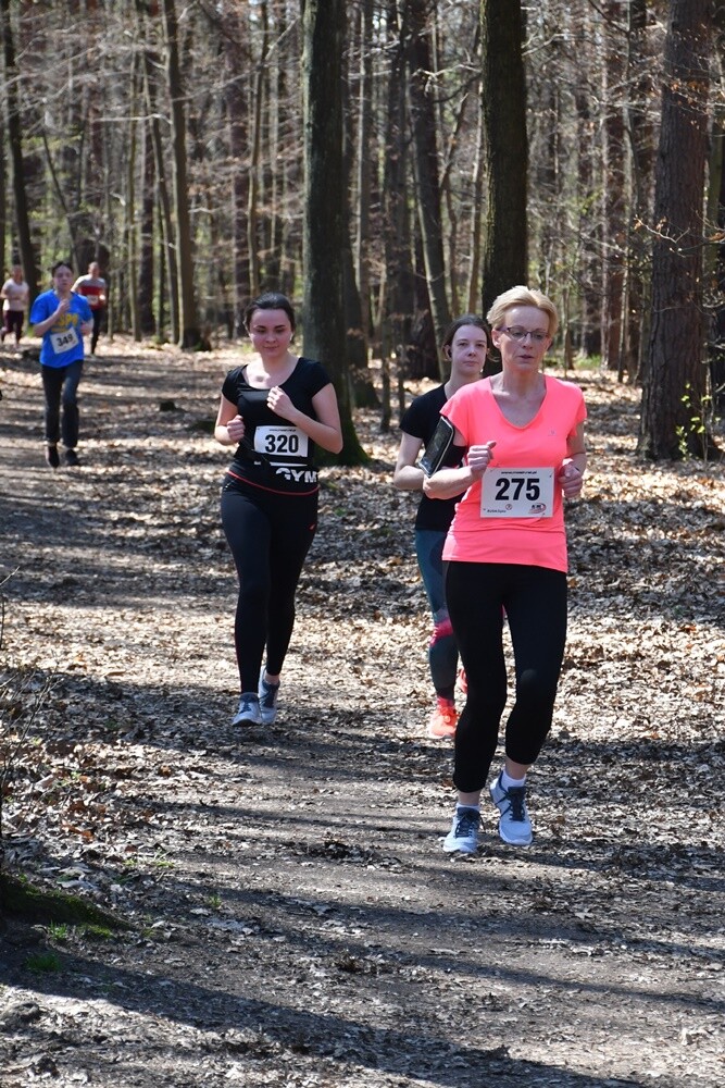 Zapaleni biegacze i miłośnicy nordic walking w  promieniach kwietniowego słońca znowu pobiegli z wiewiórką! W halembskim lesie odbył się drugi w tym roku "Bieg Wiewiórki", podczas którego swoje siły sprawdzili starsi i młodsi sportowcy. Nie zabrakło również dzieci.

fot. Jacek Knapik