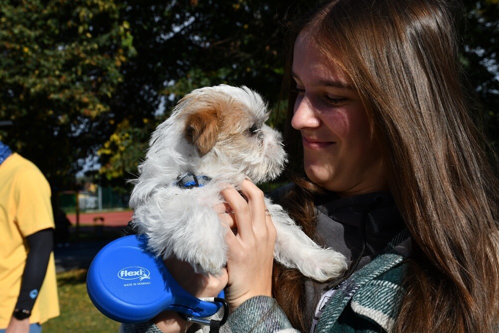 Październikowy Bieg Wiewiórki w Rudzie Śląskiej. / fot. Jacek Knapik