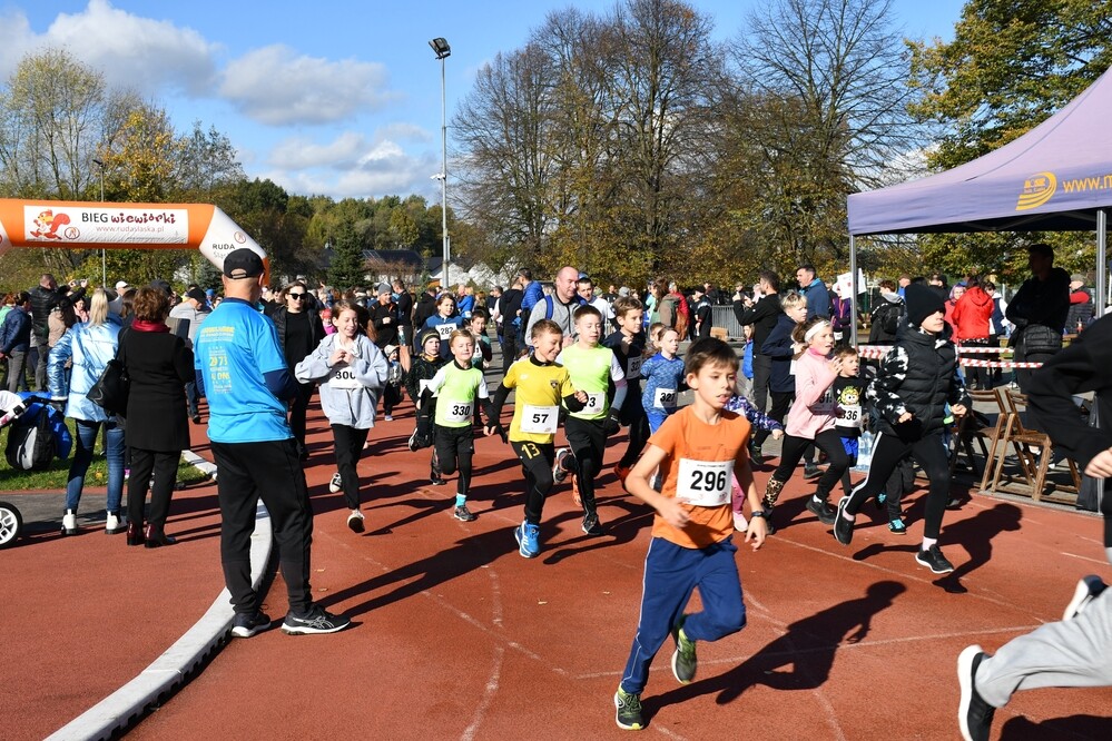 Listopadowy Bieg Wiewiórki