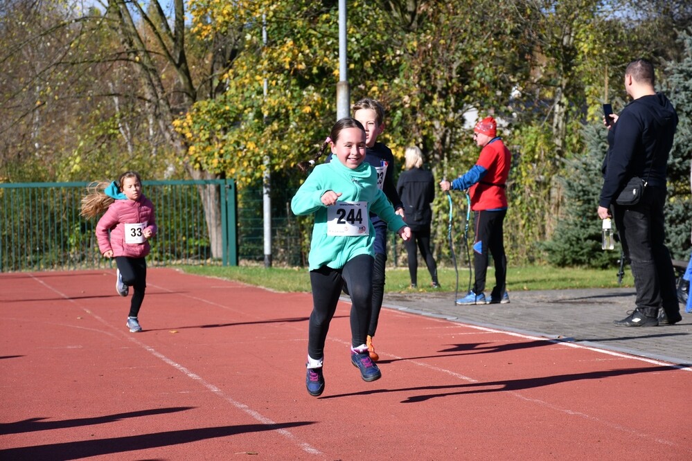 Listopadowy Bieg Wiewiórki