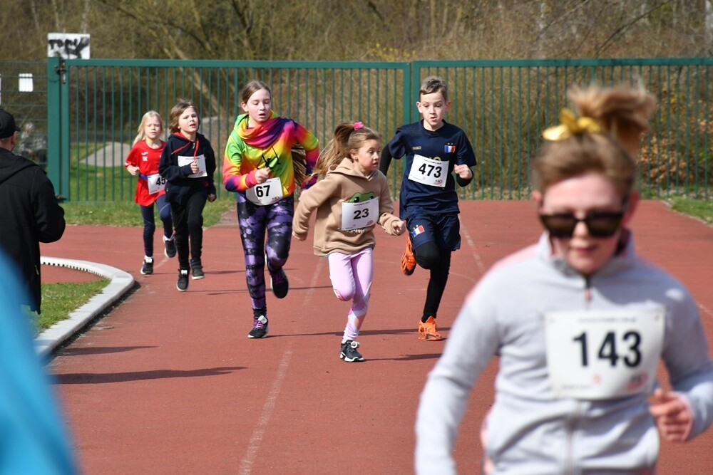 Na pierwszym w tym roku "Biegu Wiewiórki" stawiło się ponad 350 uczestników. / fot. Jacek Knapik