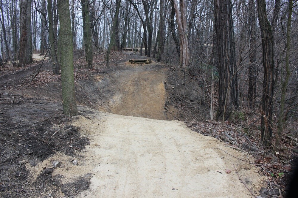 Park Strzelnica w Rudzie Śląskiej - Bielszowicach ma kolejną atrakcję. W ramach budżetu obywatelskiego powstała tam trasa rowerowa typu singletrack. To ponad 1,6 km toru, 3 trasy zjazdowe o różnym stopniu trudności i miejsca do odpoczynku. Koszt inwestycji to ponad 226 tys. zł.