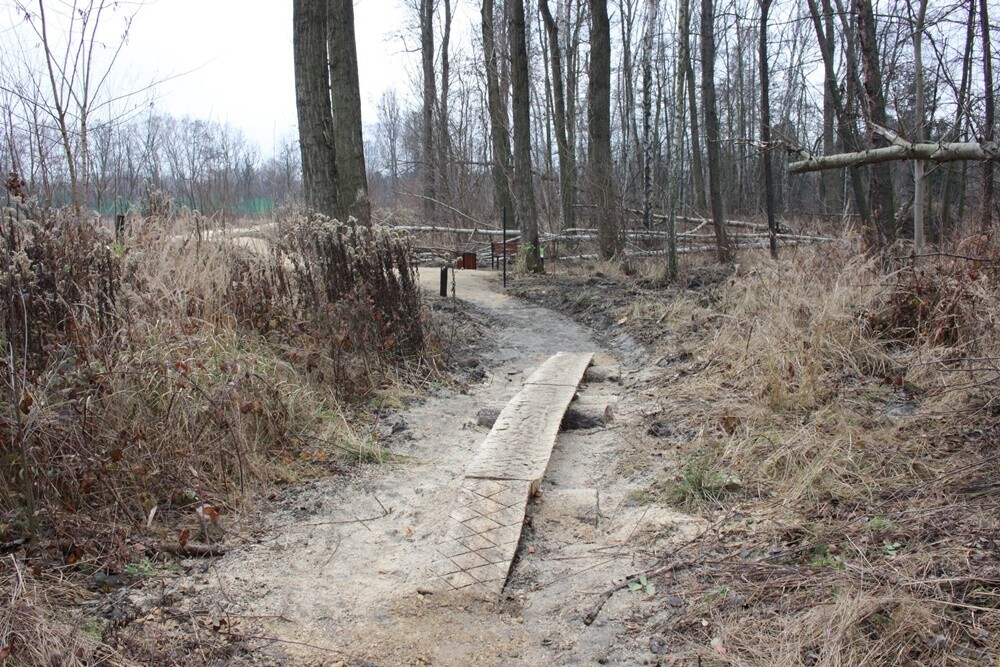 Park Strzelnica w Rudzie Śląskiej - Bielszowicach ma kolejną atrakcję. W ramach budżetu obywatelskiego powstała tam trasa rowerowa typu singletrack. To ponad 1,6 km toru, 3 trasy zjazdowe o różnym stopniu trudności i miejsca do odpoczynku. Koszt inwestycji to ponad 226 tys. zł.