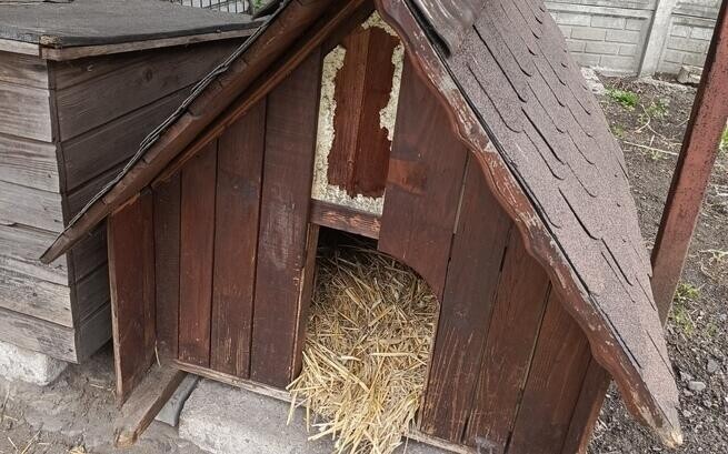 Uruchomiono zbiórkę na modernizację schroniskowych boksów/fot. TOZ Fauna