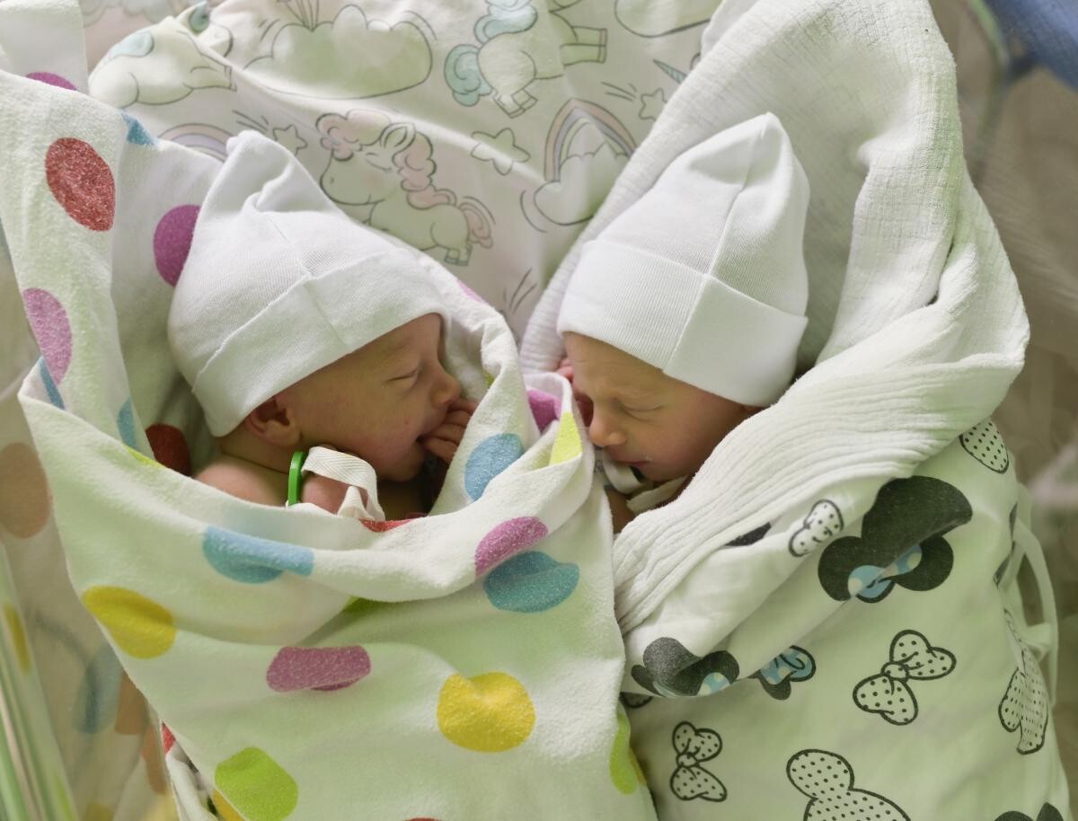 Borys i Bruno Zdziebczok