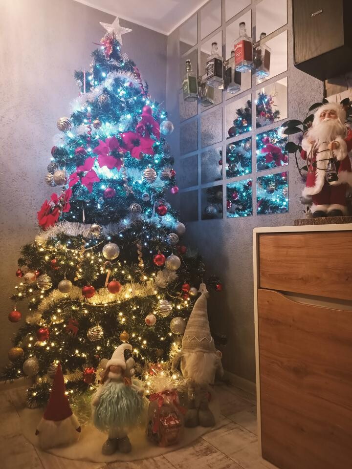 Tradycyjnie, jak co roku, na naszym profilu Facebook RudaSlaska.com.pl, poprosiliśmy naszych czytelników o udostępnienie zdjęć swoich bożonarodzeniowych choinek.