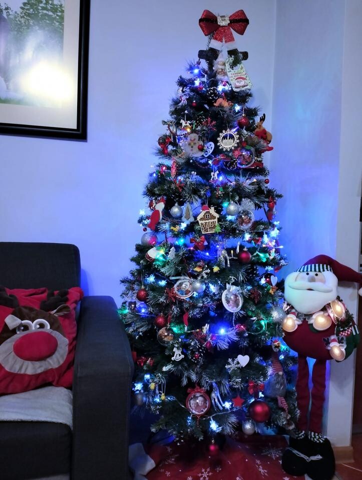 Tradycyjnie już jak co roku na Facebooku RudaSlaska.com.pl poprosiliśmy naszych czytelników, aby wysłali nam zdjęcia swoich choinek bożonarodzeniowych. Odzew był bardzo pozytywny.