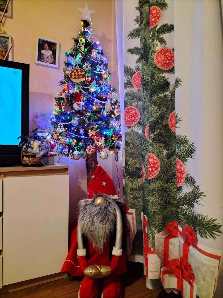 Tradycyjnie już jak co roku na Facebooku RudaSlaska.com.pl poprosiliśmy naszych czytelników, aby wysłali nam zdjęcia swoich choinek bożonarodzeniowych. Odzew był bardzo pozytywny.