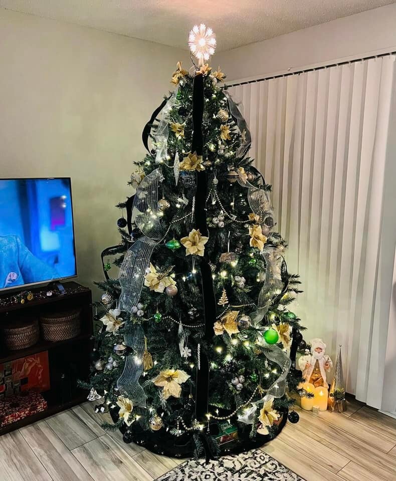 Tradycyjnie już jak co roku na Facebooku RudaSlaska.com.pl poprosiliśmy naszych czytelników, aby wysłali nam zdjęcia swoich choinek bożonarodzeniowych. Odzew był bardzo pozytywny.