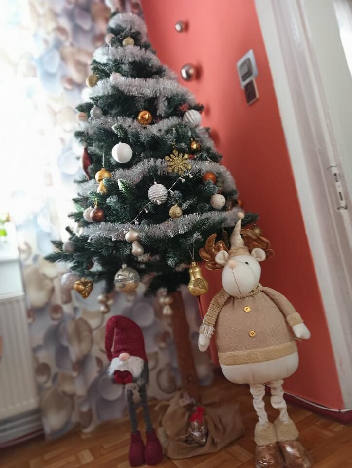 Tradycyjnie już jak co roku na Facebooku RudaSlaska.com.pl poprosiliśmy naszych czytelników, aby wysłali nam zdjęcia swoich choinek bożonarodzeniowych. Odzew był bardzo pozytywny.