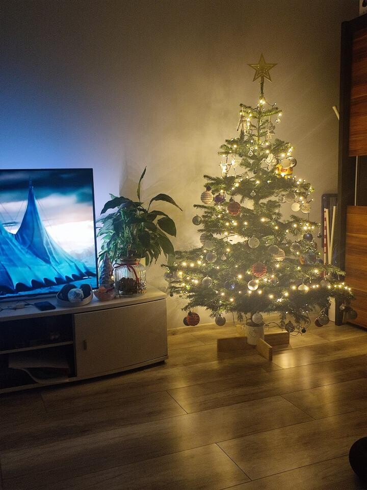 Tradycyjnie już jak co roku na Facebooku RudaSlaska.com.pl poprosiliśmy naszych czytelników, aby wysłali nam zdjęcia swoich choinek bożonarodzeniowych. Odzew był bardzo pozytywny.