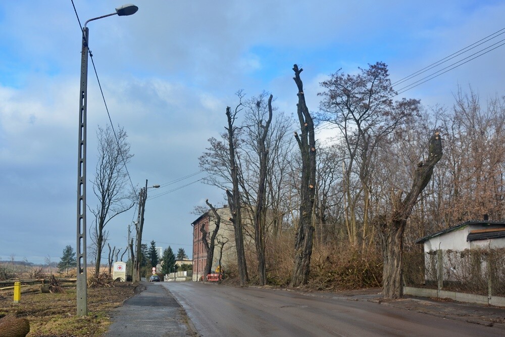 Prace na budowie czwartego etapu trasy N-S w Rudzie Śląskiej wrą! Jak zapowiadają rudzcy urzędnicy, jeżeli wszystko pójdzie zgodnie z planem, pod koniec 2023 roku będziemy mogli trasą N-S przejechać do ulicy Bielszowickiej i 1 Maja. Zobaczcie, jak postępują prace.

fot. Jacek Knapik