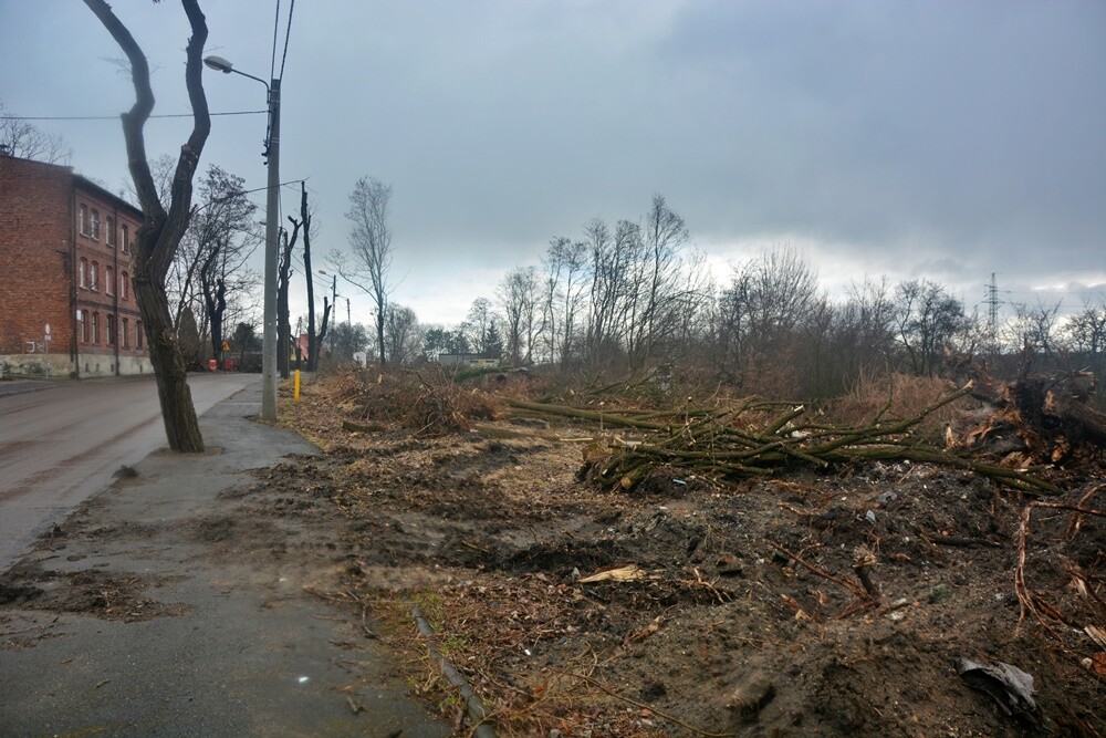 Prace na budowie czwartego etapu trasy N-S w Rudzie Śląskiej wrą! Jak zapowiadają rudzcy urzędnicy, jeżeli wszystko pójdzie zgodnie z planem, pod koniec 2023 roku będziemy mogli trasą N-S przejechać do ulicy Bielszowickiej i 1 Maja. Zobaczcie, jak postępują prace.

fot. Jacek Knapik