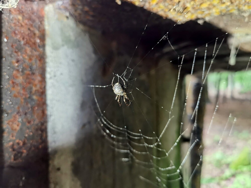 Bunkier satanistów w Rudzie Śląskiej. / fot. Paweł Szleger